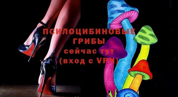 Альфа ПВП Арсеньев