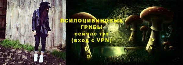 Альфа ПВП Арсеньев