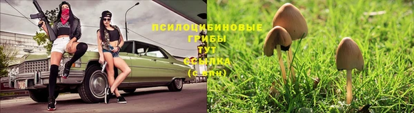 скорость Аркадак